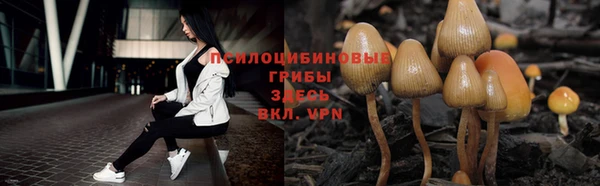 герыч Касимов
