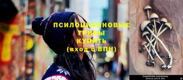 прущие крисы Карпинск