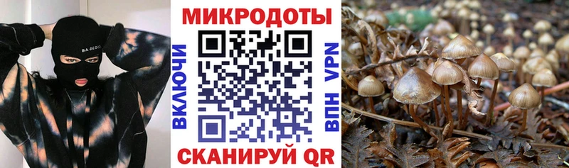 Купить закладки  Мамоново  Галлюциногенные грибы Psilocybe 